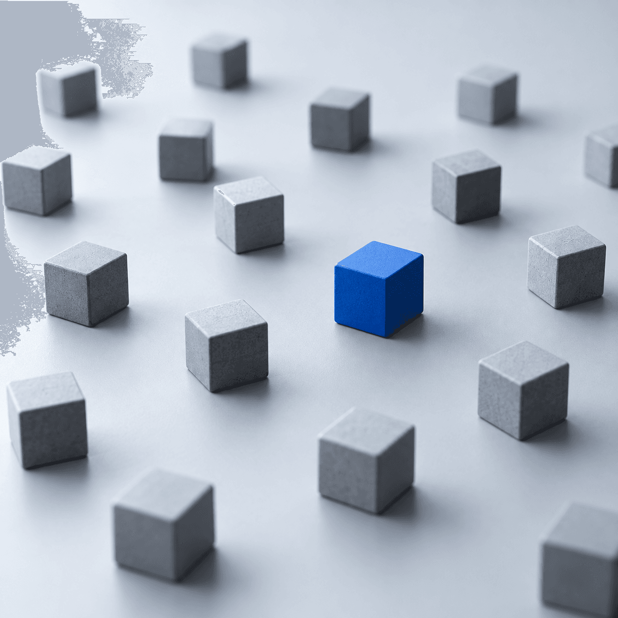 Fragmented organizational capabilities