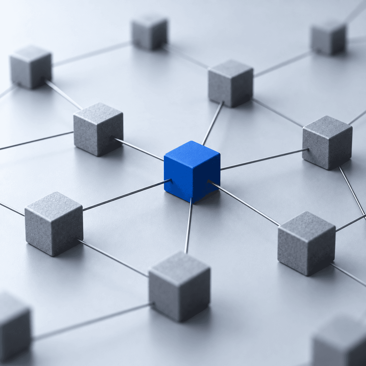 Connected organizational capabilities